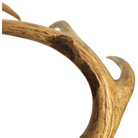 Deer Antlers For Rustic Decor Or Craft Projects or Dog Chews - Picture 8 of 11